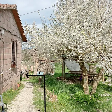 Affittacamere La Casella *